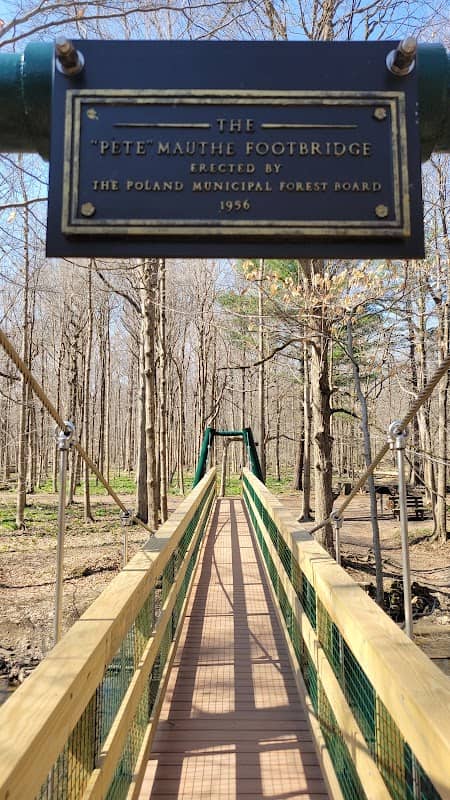Mauthe Bridge - Image 1