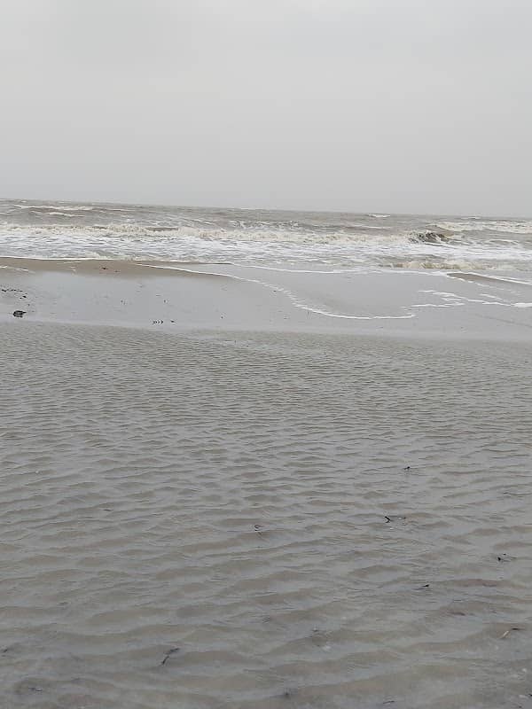 Holly Beach - Image 1