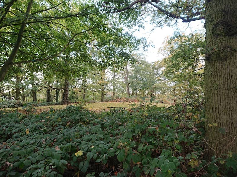 Bunkers Hill - Image 1