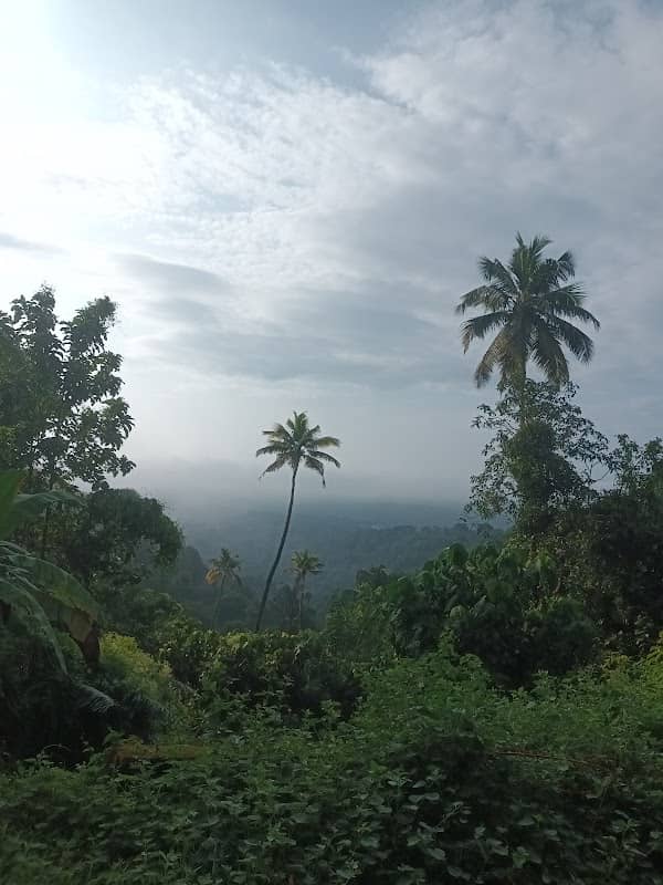 Valavoor View point - Image 2