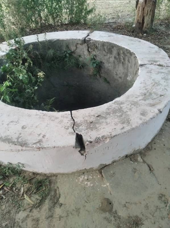 Hastinapur wildlife - Image 1