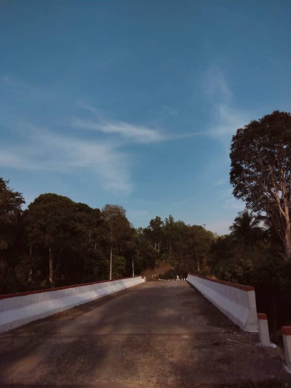 Andalli river - Image 1