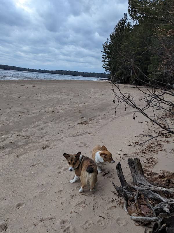 Little Star Beach - Image 1
