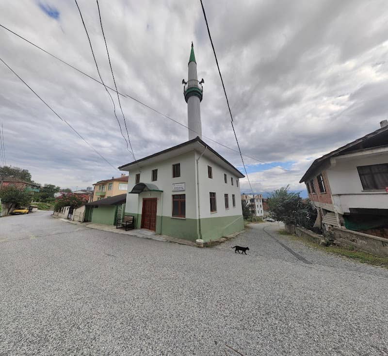 Çifte Pınarlar Mahallesi Cami - Image 1