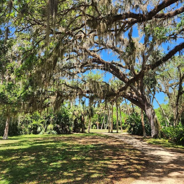 Washington Oaks Gardens State Park - Image 2