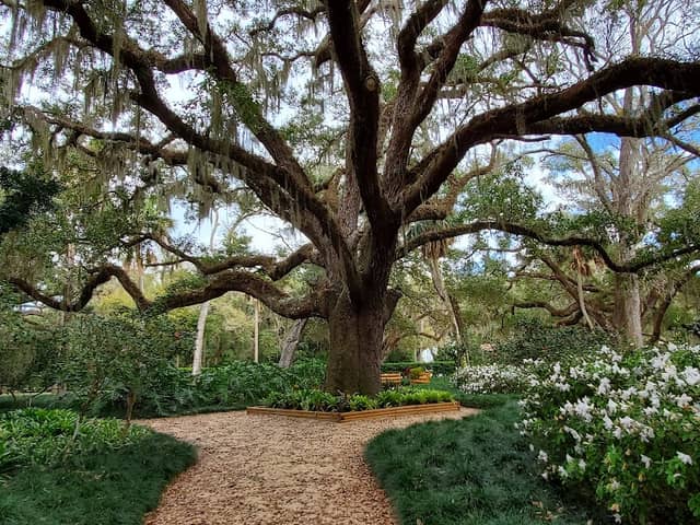 Washington Oaks Gardens State Park - Image 1