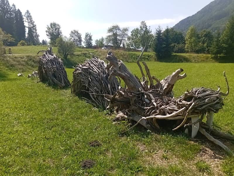 Drago di legno (Fischiosauro) - Image 1