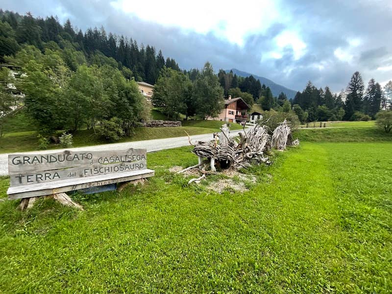 Drago di legno (Fischiosauro) - Image 2