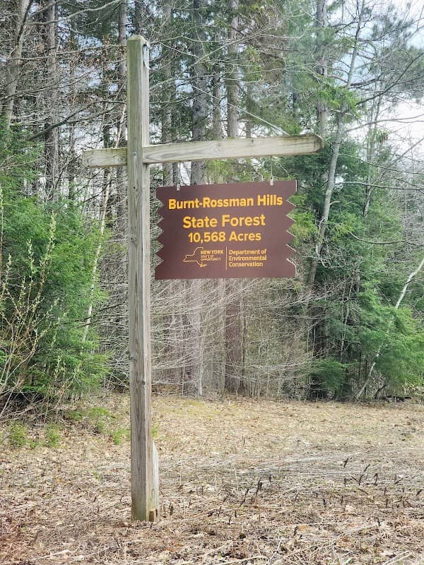 Burnt-Rossman Hills State Forest - Image 1