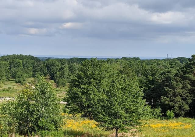 Orchard Hills Park - Image 2