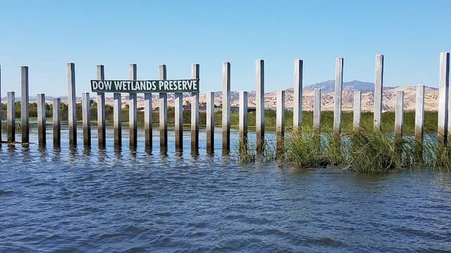Corteva Wetlands Preserve - Image 2