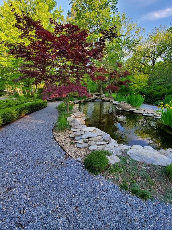 Websters Garden - Image 2