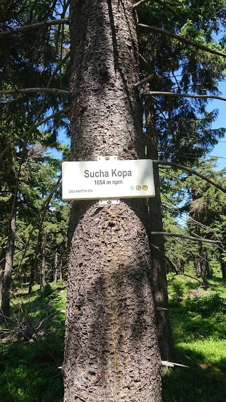 Sucha Kopa 1063 m n.p.m - Image 1