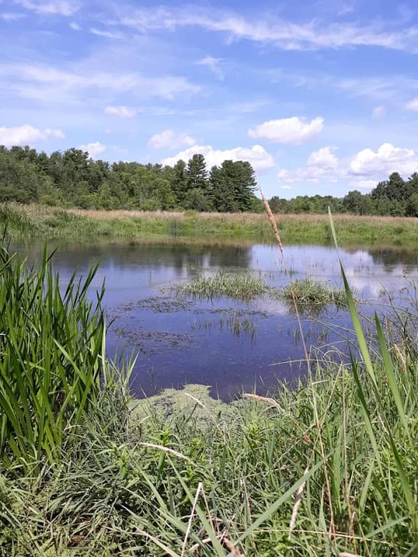 Christiana Natural Area - Image 3