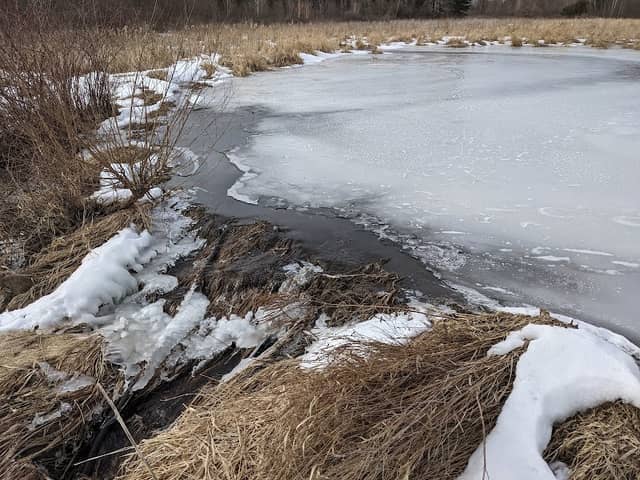 Christiana Natural Area - Image 1