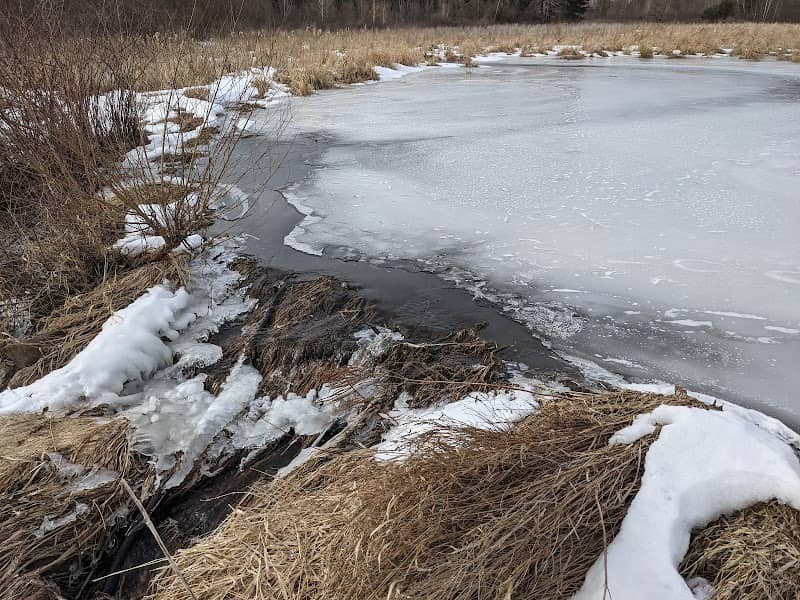 Christiana Natural Area - Image 1