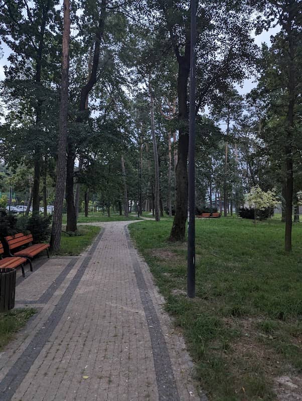 Park Miejski - Image 1