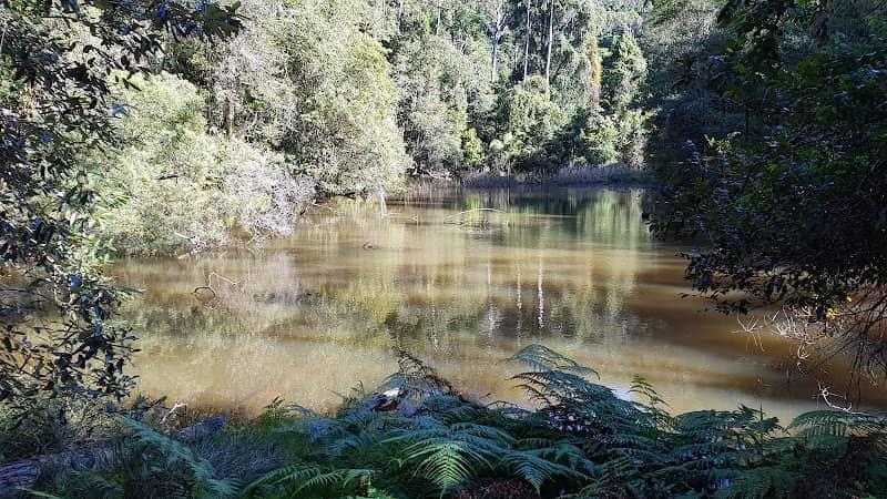 Watermans Walk, Katandra Picnic Area - Image 1