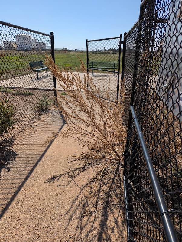Shallowater Dog Park - Image 1