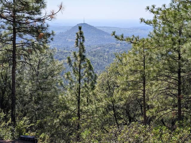 Mount Zion Demonstration State Forest - Image 1
