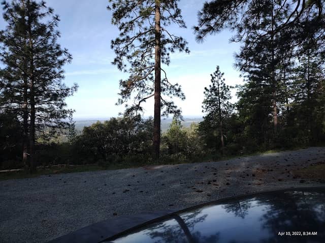 Mount Zion Demonstration State Forest - Image 2