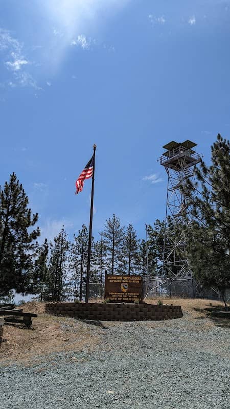 Mount Zion Demonstration State Forest - Image 3