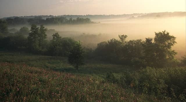 Pickerel Lake Fen - North Entrance - Image 1