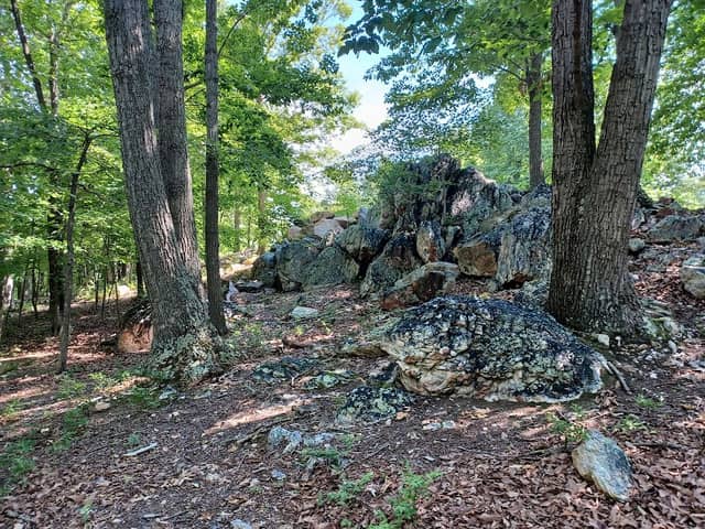 Blooms Park - Image 1