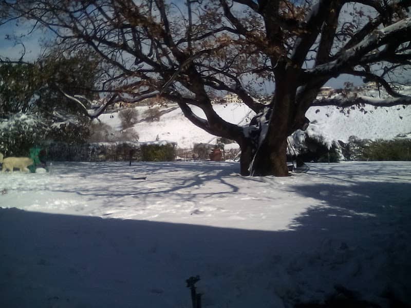 Gran Paradiso Park - Image 1