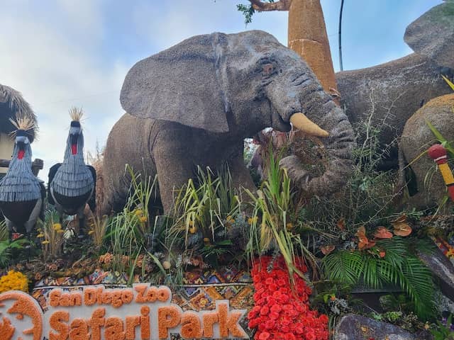 Float Fest: Rose Parade Showcase - Image 2