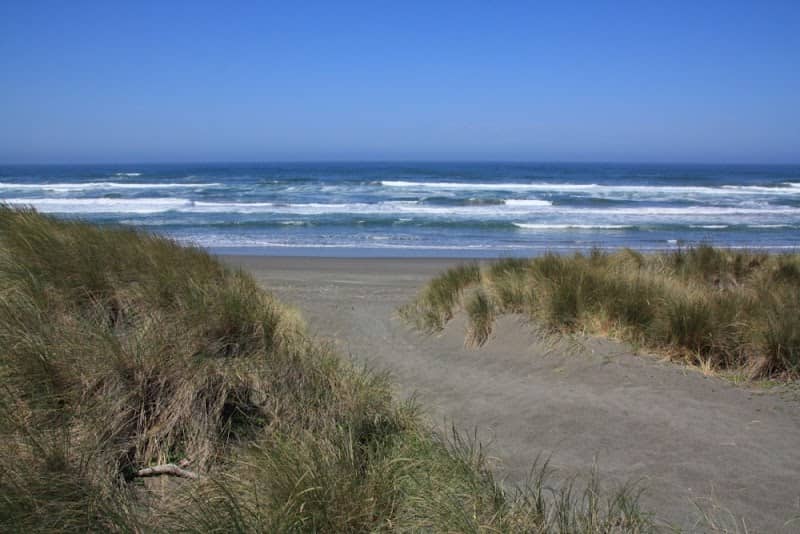 Tolowa Dunes State Park - Image 1