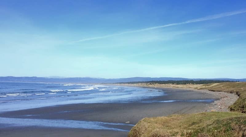 Tolowa Dunes State Park - Image 2