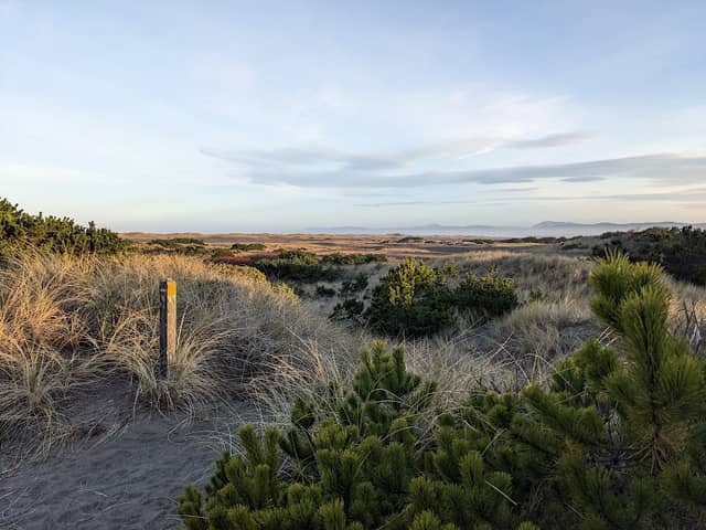 Tolowa Dunes State Park - Image 3
