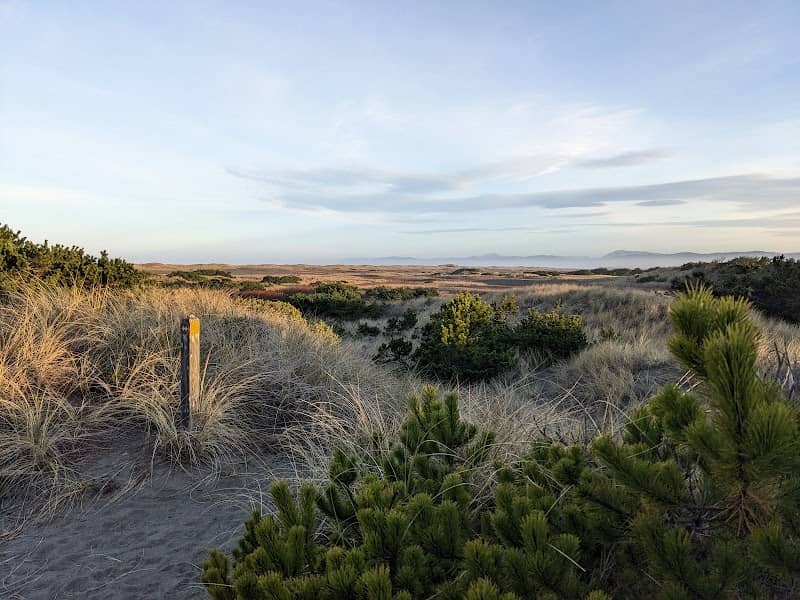 Tolowa Dunes State Park - Image 3