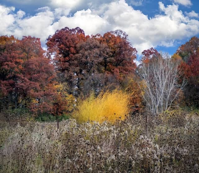 Conservancy Farm - Image 1