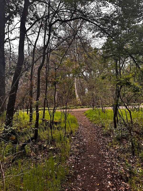 Cedar Grove Picnic Area and Meadow - Image 1
