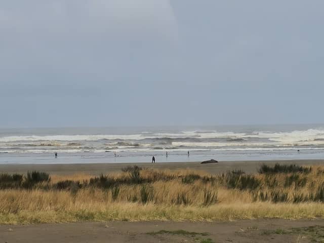 Grayland Beach Oba State Park Drive On Access - Image 2
