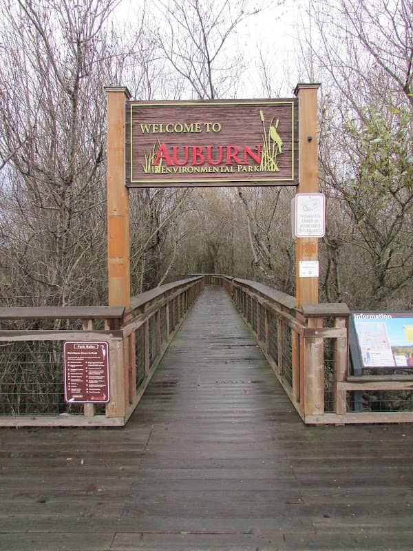 Wetlands Boardwalk Main St Trailend - Image 2