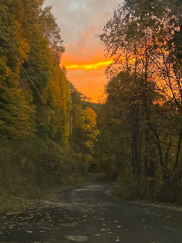 Toneys Fork Mountain - Image 3