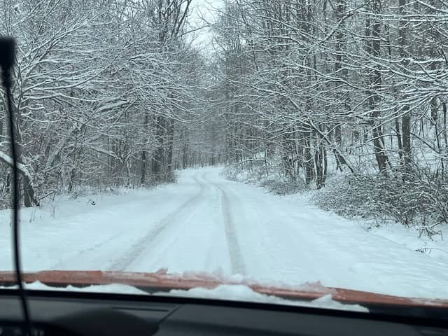 Toneys Fork Mountain - Image 2