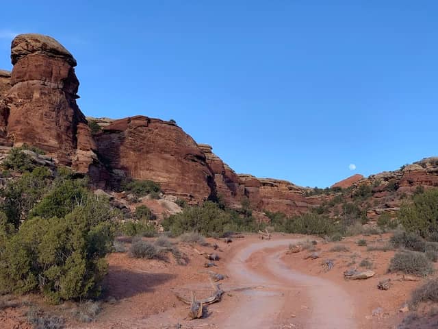 Elephant Hill - Image 2