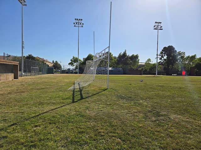 Morton Field - Image 1