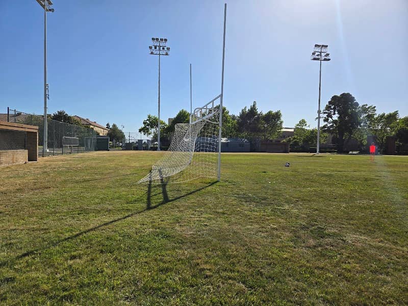 Morton Field - Image 2