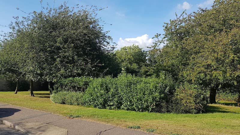Bradfordbury open space - Image 2