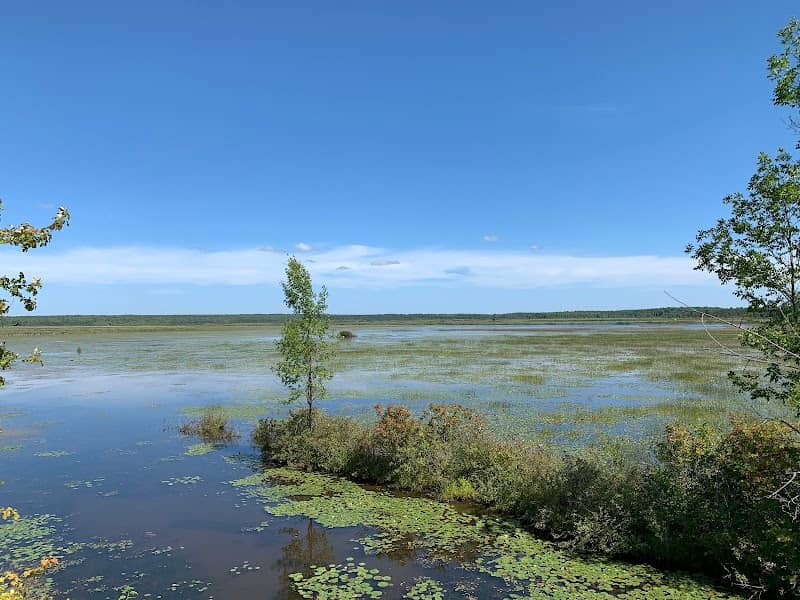 Tiny Marsh Provincial Wildlife Area - Image 1