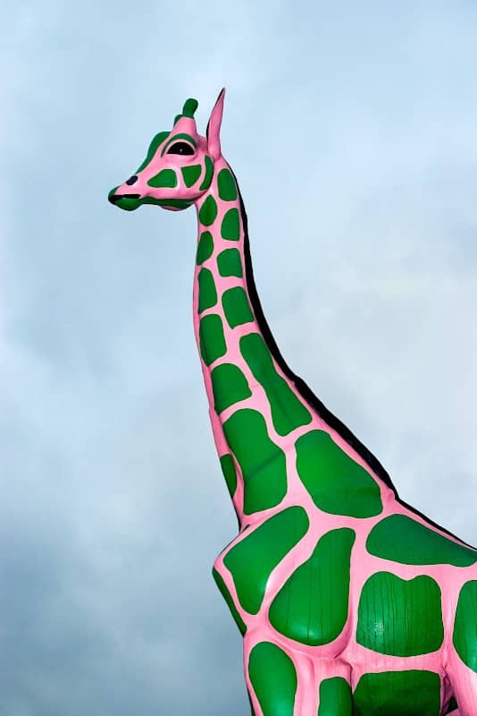 Pink and Green Giraffe - Image 1