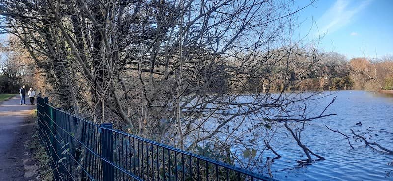 Cemetery Lake - Image 3