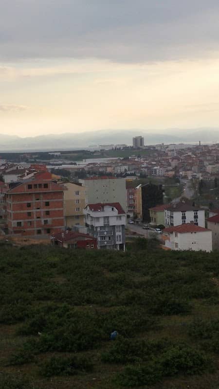 Elvan Tower - Image 1