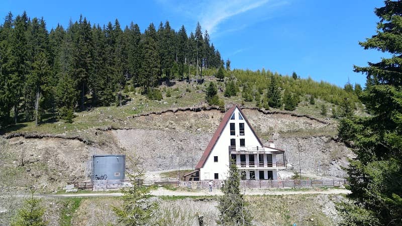 Podu' cu Florile - Image 1