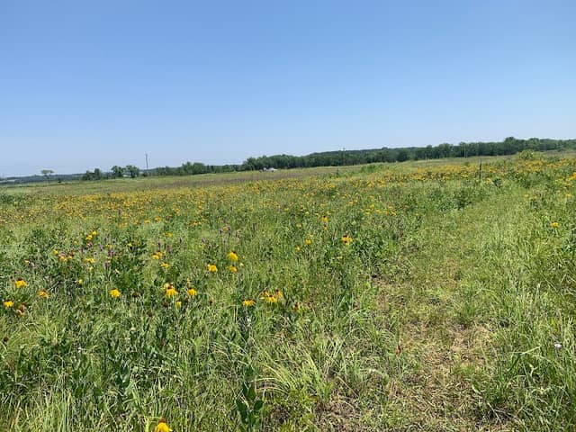Cherokee Prairie - Image 1